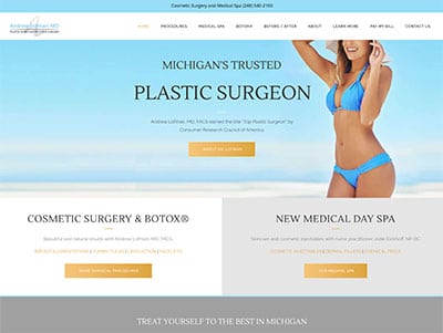 Example Plastic Surgery Marketing Websites